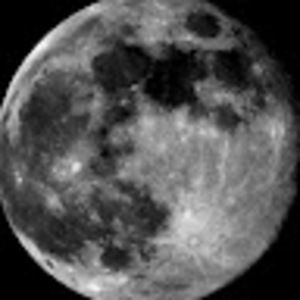 Meet your Posher, Lilly